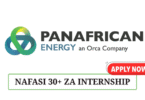PanAfrican Energy (PAET) Internship Program 2025