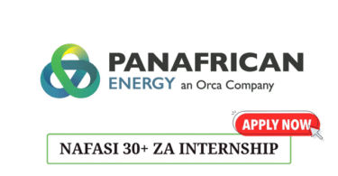 PanAfrican Energy (PAET) Internship Program 2025
