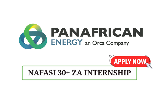 PanAfrican Energy (PAET) Internship Program 2025