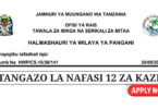 Pangani District Council Vacancies May 2025