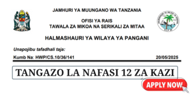 Pangani District Council Vacancies May 2025