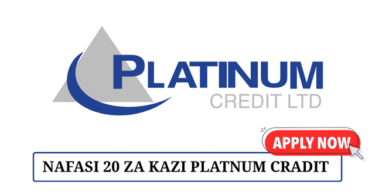 Platinum Credit Ltd 20 Sales Officer May 2025