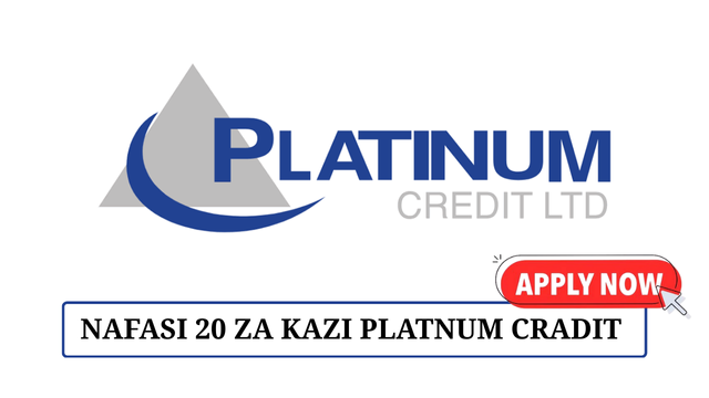 Platinum Credit Ltd 20 Sales Officer May 2025