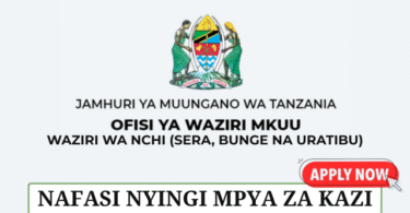 Prime Minister Office New Job Vacancies May 2025