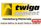 Procurement Category Manager at Twiga Cement May 2025