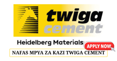 Procurement Category Manager at Twiga Cement May 2025