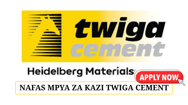 Procurement Category Manager at Twiga Cement May 2025