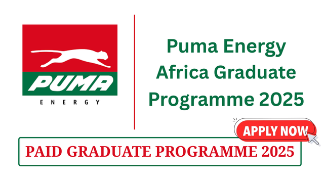 Puma Energy Africa Graduate Program 2025