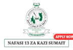 SUMAIT University 13 Positions May 2025
