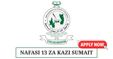 SUMAIT University 13 Positions May 2025