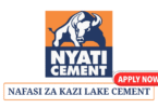 Safety Officer – Health & Environment at Lake Cement May 2025