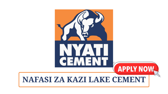 Safety Officer – Health & Environment at Lake Cement May 2025