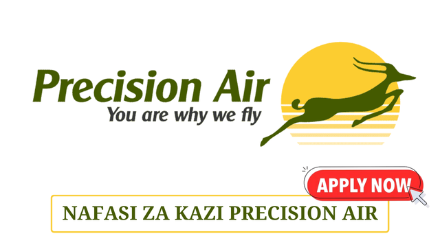 Sales Executive at Precision Air May 2025