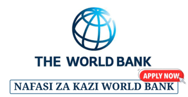 Senior IT Assistant at World Bank May 2025