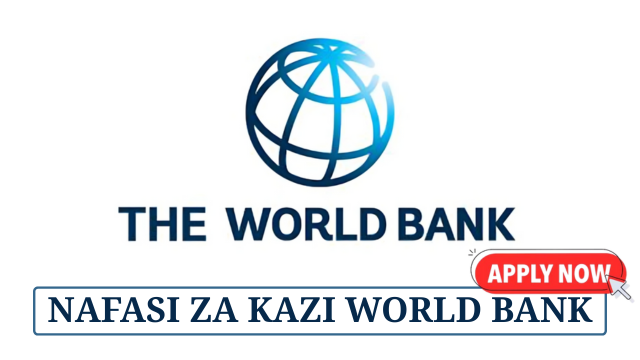 Senior IT Assistant at World Bank May 2025