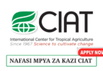 Senior Research Associate- Agriculture Value Chain Transformation at CIAT May 2025
