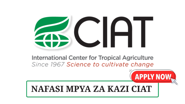 Senior Research Associate- Agriculture Value Chain Transformation at CIAT May 2025