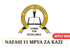 Shaaban Robert School 11 Vacancies May 2025