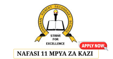 Shaaban Robert School 11 Vacancies May 2025