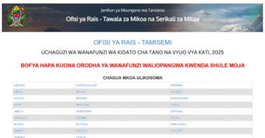 TAMISEMI Waliochaguliwa Kidato cha Tano Form Five Selection 2025