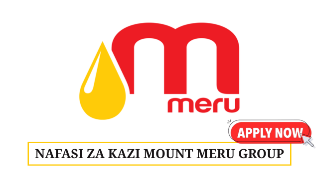 Trading Operator Vacancies at Mount Meru Group 2025