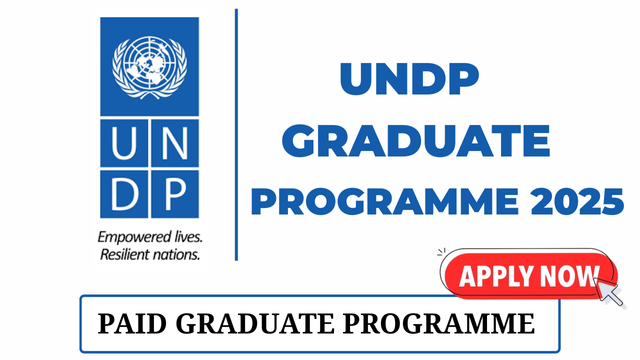 UNDP Graduate Programme 2025