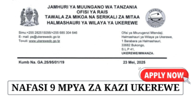 Ukerewe District Council Vacancies May 2025