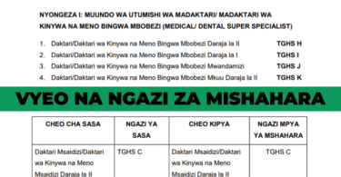 Vyeo na Ngazi za Mishahara Serikalini 2025