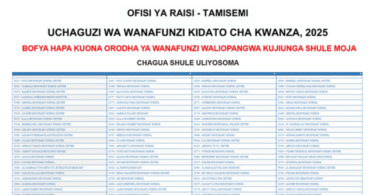 Waliochaguliwa Kidato cha Tano na Vyuo vya Kati 2025 to 2026