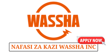 Accounts Assistant at Wassha Inc Tanzania June 2025