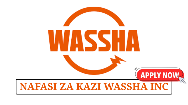 Accounts Assistant at Wassha Inc Tanzania June 2025