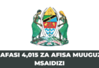 Afisa muuguzi msaidizi daraja la II – (Assistant Nursing Officer II) - 4015 post