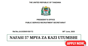 Ajira Portal Government Job Opportunities June 2025