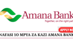 Amana Bank Sales Executive – 10 Job Opportunities July 2025