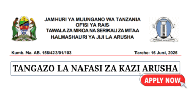 Arusha City Council Vacancies June 2025
