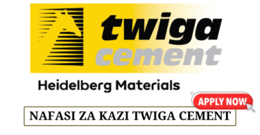 Assistant Accountant Vacancies at Twiga Cement June 2025