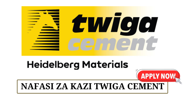 Assistant Accountant Vacancies at Twiga Cement June 2025