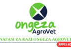 Assistant Operations Officer at Ongeza AgroVet June 2025