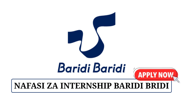 Baridi Baridi Internship Opportunity June 2025