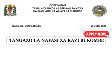 Bukombe District Council Vacancies June 2025