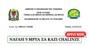 Chalinze District Council Job Vacancies June 2025
