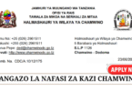 Chamwino District Council Vacancies June 2025