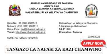 Chamwino District Council Vacancies June 2025