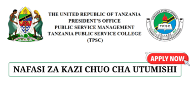 Chuo cha Utumishi wa Umma Tanzania (TPSC) Jobs June 2025