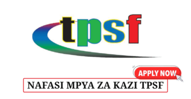 Communications & PR Manager at TPSF June 2025