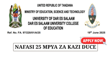 DUCE Job Recruitment 25 New Posts June 2025