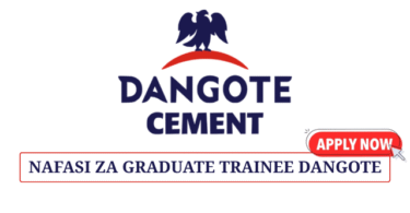 Dangote Cement Tanzania – Finance Management Trainees Programme 2025