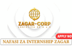 Data Entry Internship at Zagar Logistics June 2025
