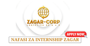 Data Entry Internship at Zagar Logistics June 2025