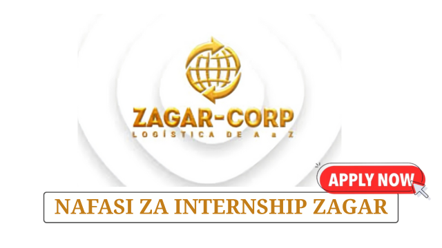 Data Entry Internship at Zagar Logistics June 2025